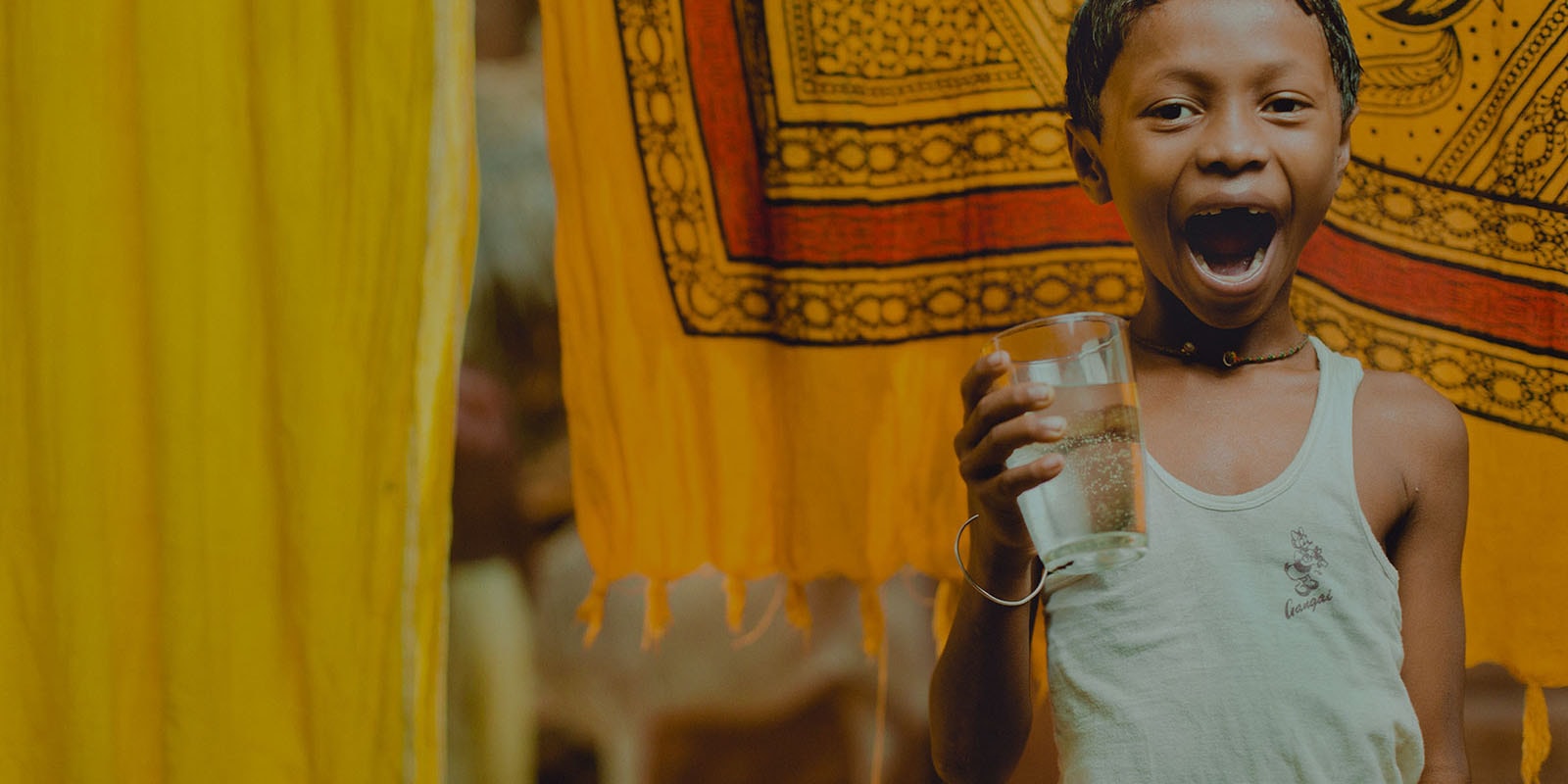 charity wordpress theme