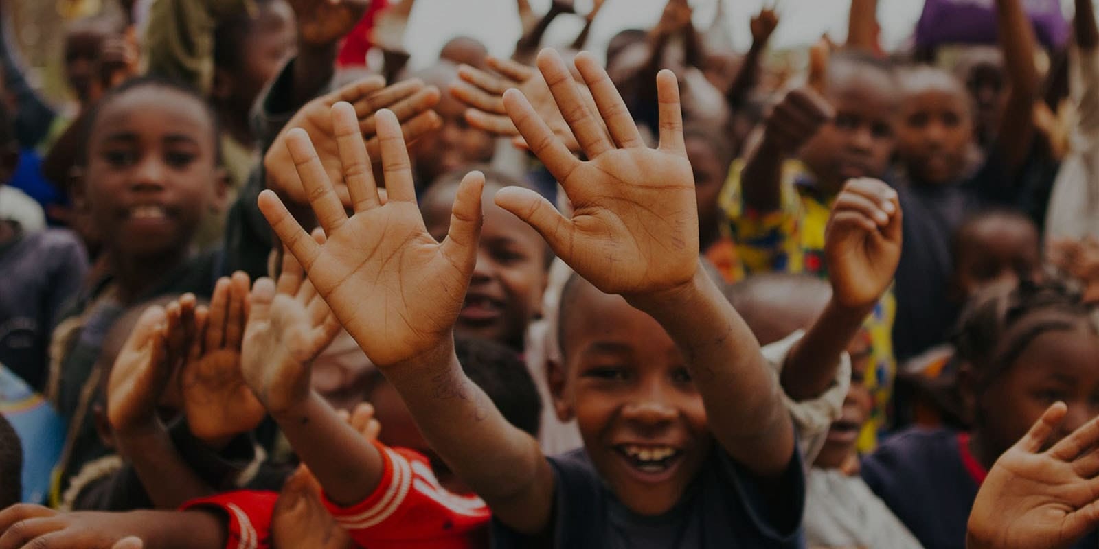 nonprofit wordpress theme