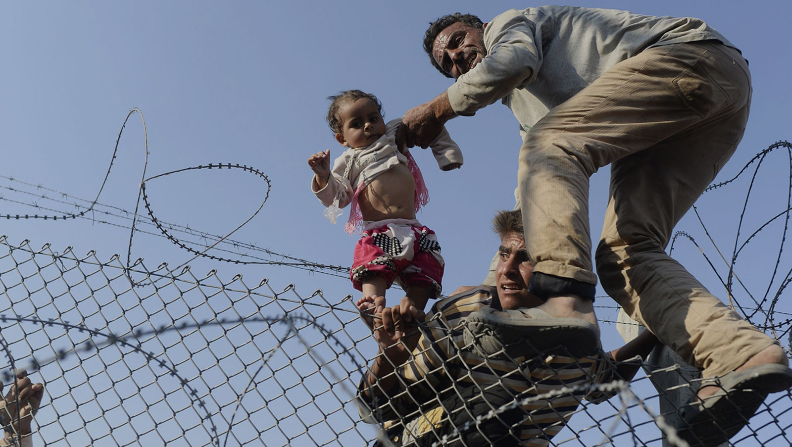 flygtninge3 no credit